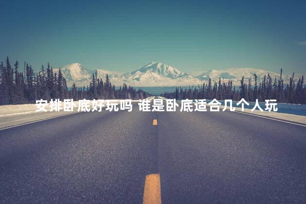 安排卧底好玩吗 谁是卧底适合几个人玩